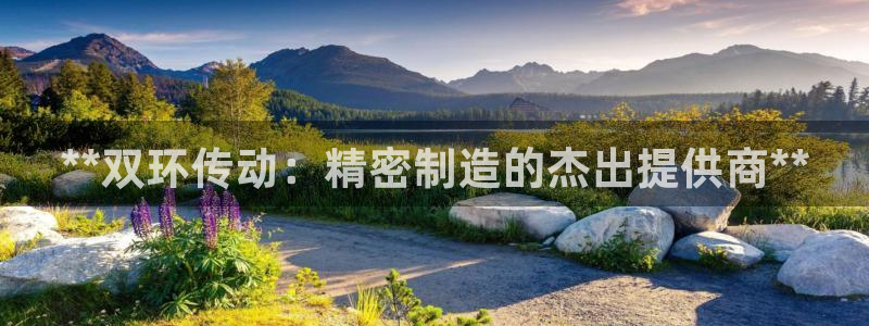 彩神8是正规平台吗安全吗：**双环传动：精密制造的杰出提供商**