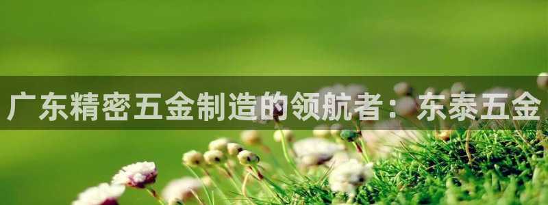 彩神v8平台正规吗知乎：广东精密五金制造的领航者：东泰五金