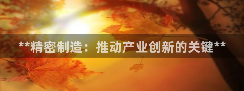 彩神v秘聊号码：**精密制造：推动产业创新的关键**