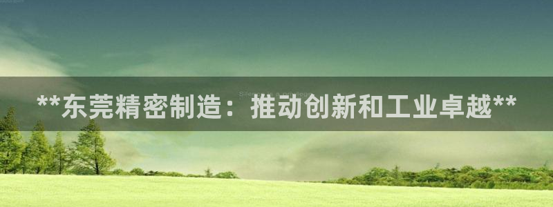 彩神vllⅰ购彩大厅：**东莞精密制造：推动创新和工业卓越**