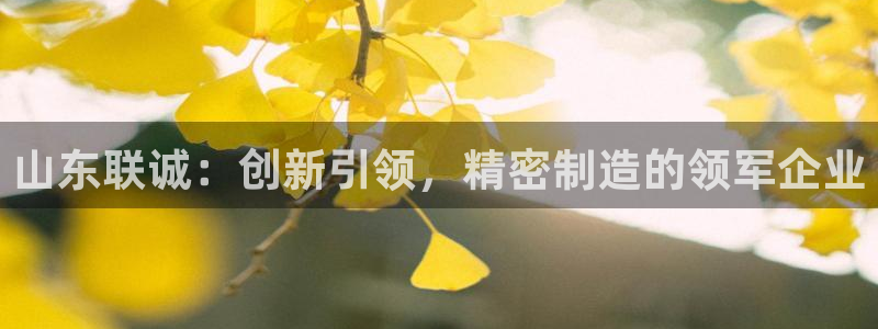 彩神网可以赚钱是真的吗：山东联诚：创新引领，精密制造的领军企业