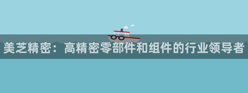 彩神是什么平台的游戏：美芝精密：高精密零部件和组件的行业领导者