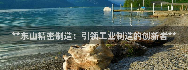 彩神V集团公司：**东山精密制造：引领工业制造的创新者**