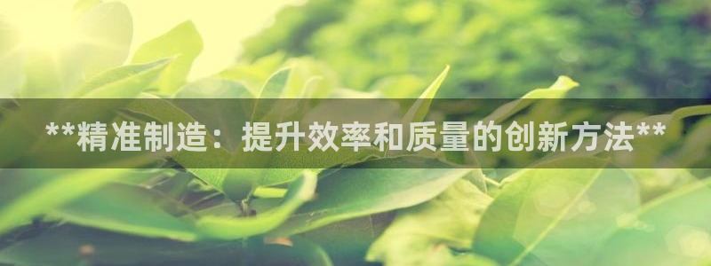 彩神网合法吗：**精准制造：提升效率和质量的创新方法**