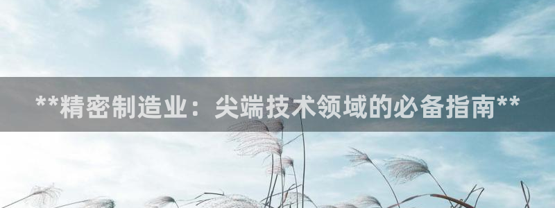 彩神viii是正规平台吗?：**精密制造业：尖端技术领域的必备指南**