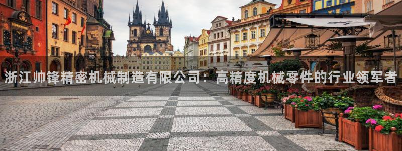 彩神8官网500：浙江帅锋精密机械制造有限公司：高精度机械零件的行业领军者