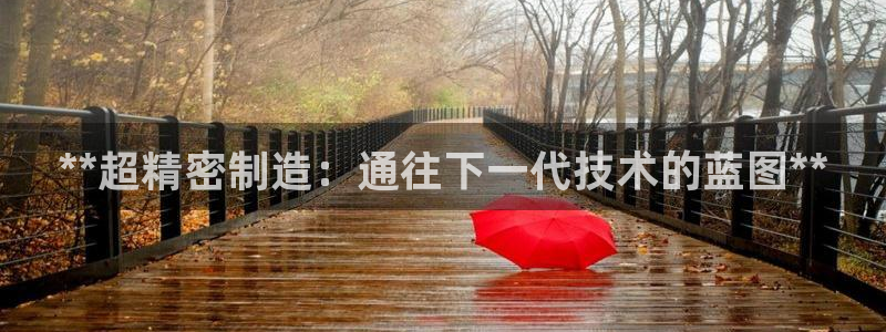 彩神旗下有哪些平台可以玩：**超精密制造：通往下一代技术的蓝图**
