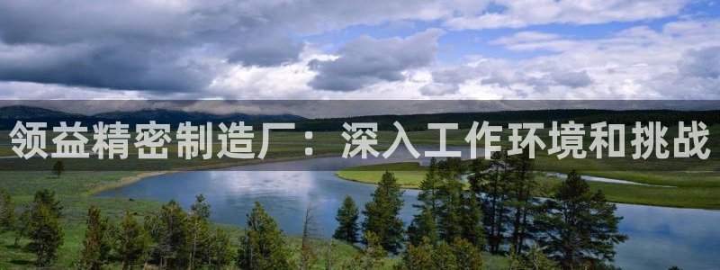 彩神vip购彩：领益精密制造厂：深入工作环境和挑战