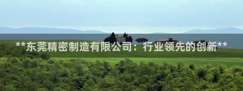 彩神v破解版：**东莞精密制造有限公司：行业领先的创新**