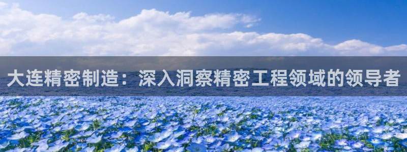 新版彩神v8登录不上去：大连精密制造：深入洞察精密工程领域的领导者