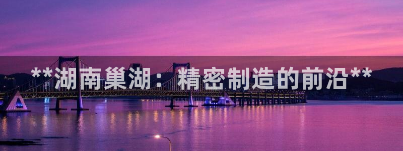 大发彩神官网下载：**湖南巢湖：精密制造的前沿**