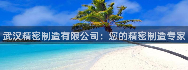 彩神团队是真的吗：武汉精密制造有限公司：您的精密制造专家