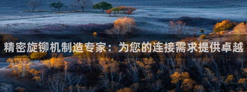 下载彩神乐发V：精密旋铆机制造专家：为您的连接需求提供卓越