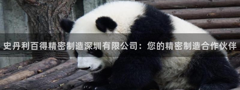 彩神ix是真的吗：史丹利百得精密制造深圳有限公司：您的精密制造合作伙伴