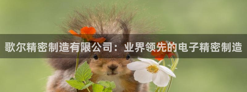 彩神是怎样一个平台赚钱的：歌尔精密制造有限公司：业界领先的电子精密制造