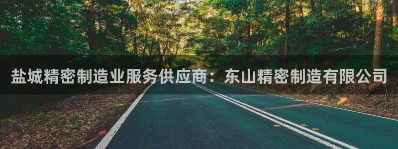 彩神购彩-购彩大厅入口36fr：盐城精密制造业服务供应商：东山精密制造有限公司