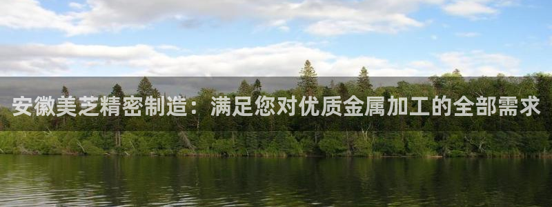 彩神网能赚钱是怎么回事：安徽美芝精密制造：满足您对优质金属加工的全部需求