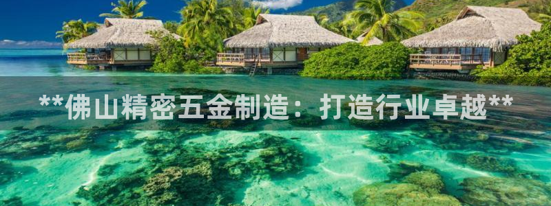 彩神v争霸是啥：**佛山精密五金制造：打造行业卓越**