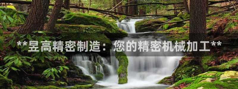 彩神趣购彩用户注册：**昱高精密制造：您的精密机械加工**