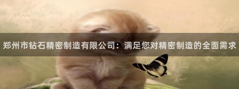 彩神8官网版是正规的吗：郑州市钻石精密制造有限公司：满足您对精密制造的全面需求