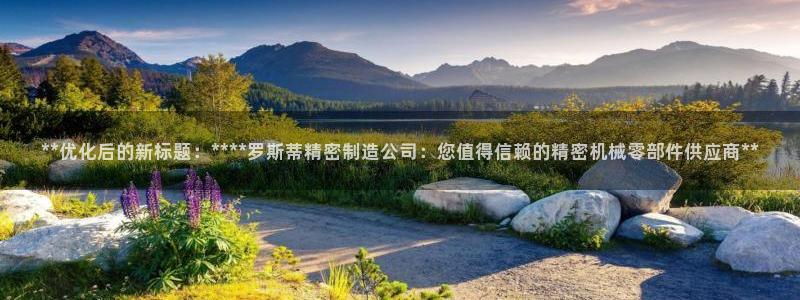 彩神 好 平台：**优化后的新标题：****罗斯蒂精密制造公司：您值得信赖的精密机械零部件供应商**