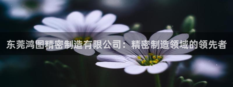 彩神是怎样一个平台：东莞鸿图精密制造有限公司：精密制造领域的领先者