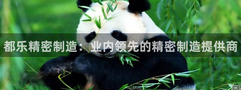 彩神天下专家专栏：都乐精密制造：业内领先的精密制造提供商