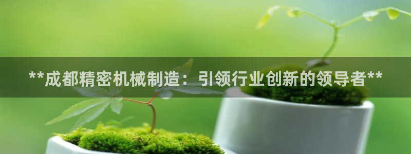彩神8官网下：**成都精密机械制造：引领行业创新的领导者**