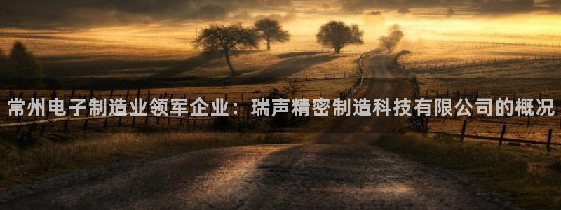彩神赢了钱登录不上去：常州电子制造业领军企业：瑞声精密制造科技有限公司的概况