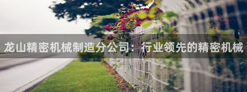 彩神v8手机客户端：龙山精密机械制造分公司：行业领先的精密机械