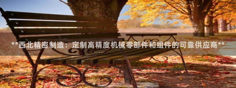 彩神v争霸是啥：**西北精密制造：定制高精度机械零部件和组件的可靠供应商**