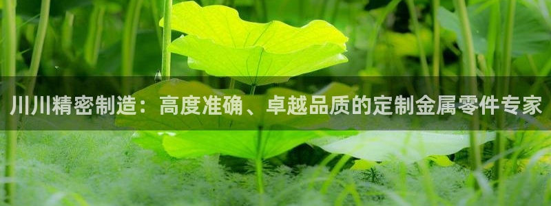 彩神v大众娱乐：川川精密制造：高度准确、卓越品质的定制金属零件专家