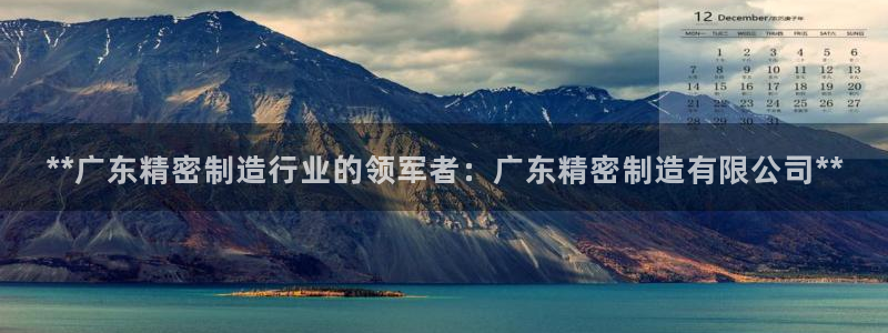 彩神vip购彩大厅在哪：**广东精密制造行业的领军者：广东精密制造有限公司**