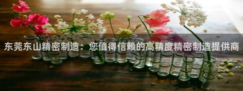 彩神ii官方网：东莞东山精密制造：您值得信赖的高精度精密制造提供商