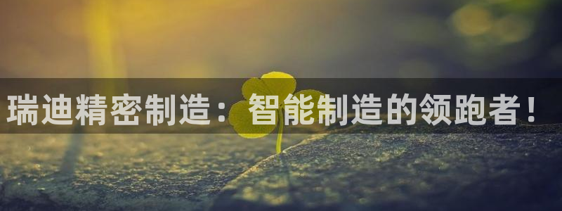 彩神vlll(中国)百度百科：瑞迪精密制造：智能制造的领跑者！