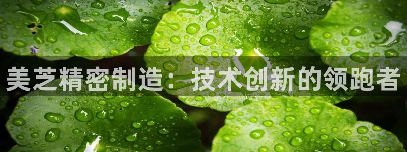 彩神网正规吗：美芝精密制造：技术创新的领跑者