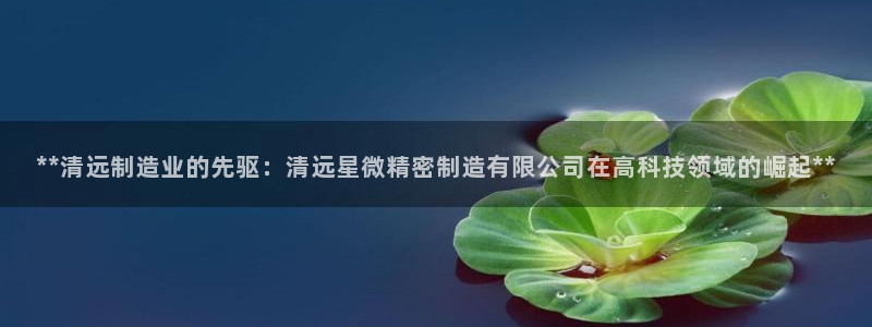 彩神ix能赚钱吗：**清远制造业的先驱：清远星微精密制造有限公司在高科技领域的崛起**