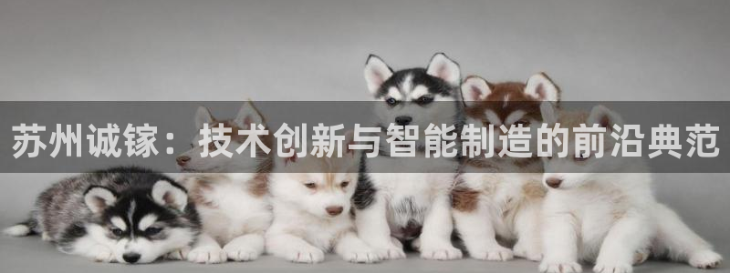 彩神8彩平台：苏州诚镓：技术创新与智能制造的前沿典范