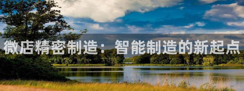 彩神V集团有限公司：微店精密制造：智能制造的新起点
