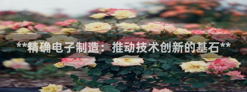 彩神购彩-购彩大厅入口500：**精确电子制造：推动技术创新的基石**