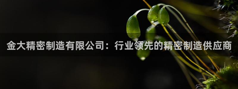 彩神vlll游戏特色：金大精密制造有限公司：行业领先的精密制造供应商