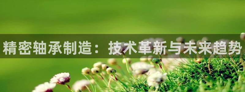 彩神iv争霸购彩大厅：精密轴承制造：技术革新与未来趋势