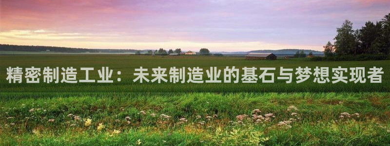 彩神V官网：精密制造工业：未来制造业的基石与梦想实现者