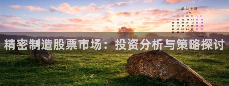 彩神是正规平台吗：精密制造股票市场：投资分析与策略探讨