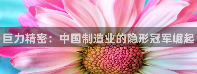 彩神网合法吗：巨力精密：中国制造业的隐形冠军崛起