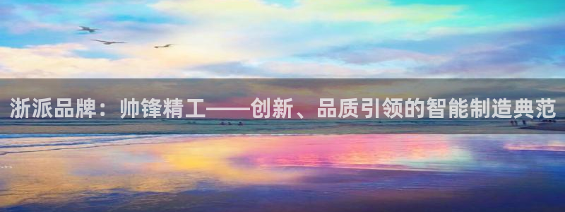 彩神VI首页：浙派品牌：帅锋精工——创新、品质引领的智能制造典范
