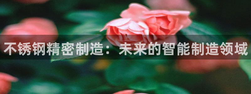 彩神v彩搜狗：不锈钢精密制造：未来的智能制造领域