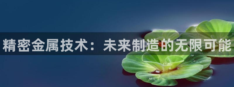 彩神v8购彩大厅登：精密金属技术：未来制造的无限可能