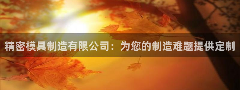 彩神是正规平台吗知乎：精密模具制造有限公司：为您的制造难题提供定制