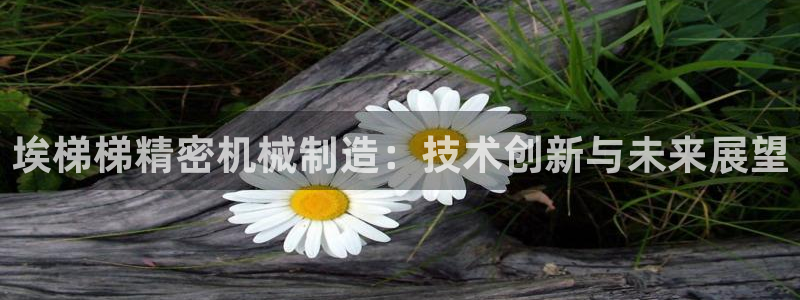 彩神8下载安卓版-彩神8(可提现)官网版1.0.0：埃梯梯精密机械制造：技术创新与未来展望